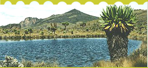 Mount  Elgon  National Park