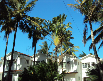 Milele beach hotel