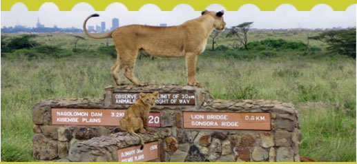 Nairobi national Park