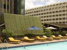 hilton in