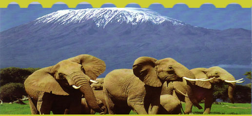 Amobseli National  Park
