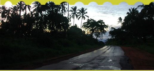 Shimba Hills National Reserve