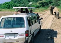 Van
