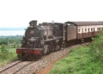 train